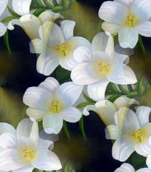 Painted Lilies Set 07 - 71 x A4 Pages to Download